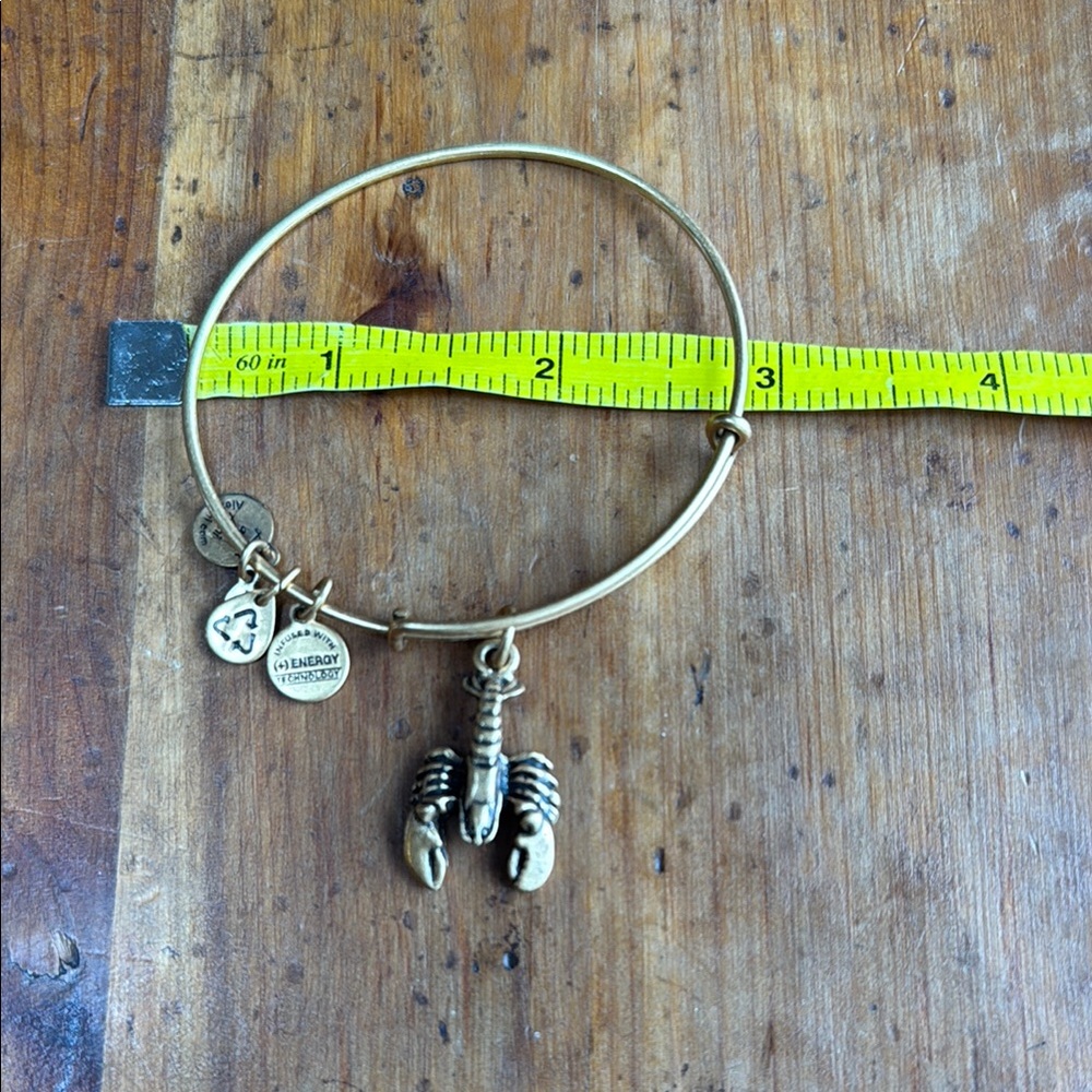 Alex and Ani Gold Lobster Charm Bangle Bracelet - Picture 2 of 2